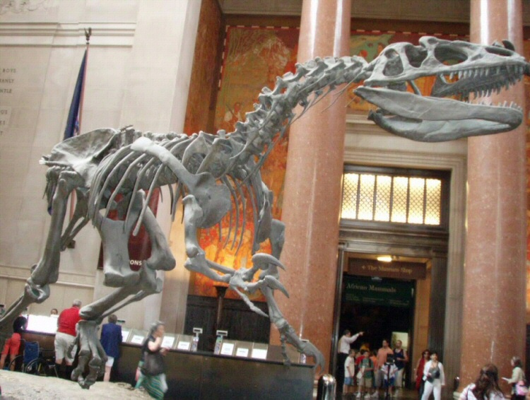 Esqueleto de dinosaurio en el Museo de Historia Natural de Nueva York