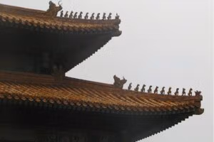 photos pekin forbidden city nine dragons 001
