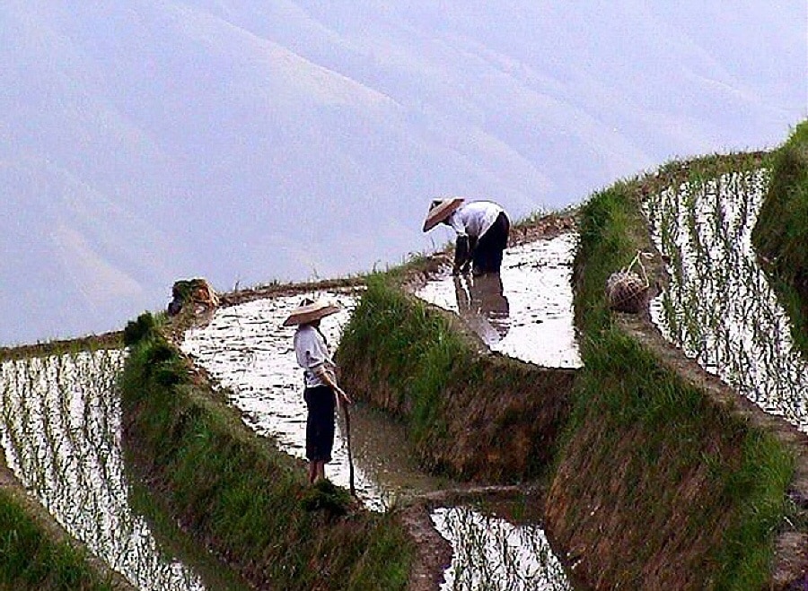 Terrazas de Arroz de Longji cerca de Guilin en China