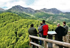 Brañagallones en el parque de Redes en Asturias