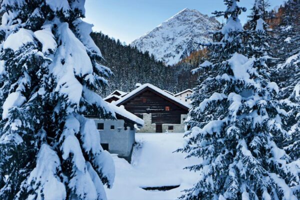 Paisajes nevados en Parc Ela Grisones en Suiza / Foto: ST/Swiss Image
