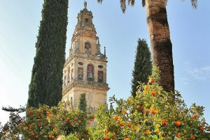 Patio de los Naranjos en la Mezquita de Córdoba