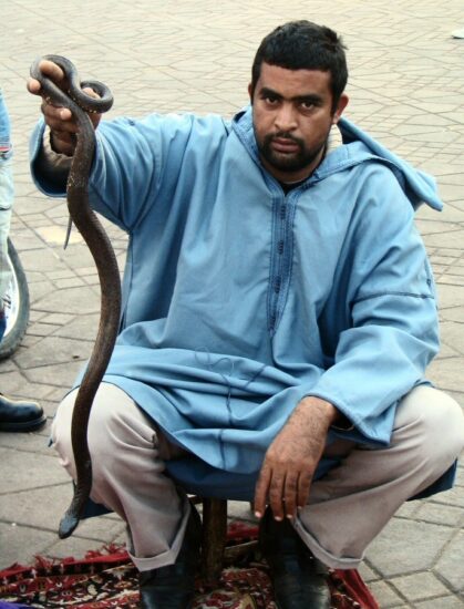 Serpientes en plaza Jemaa El Fna en Marrakech en Marruecos