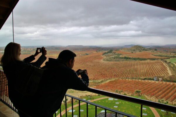 Vistas panorámicas de viñedos desde hotel de Bodegas Eguren Ugarte