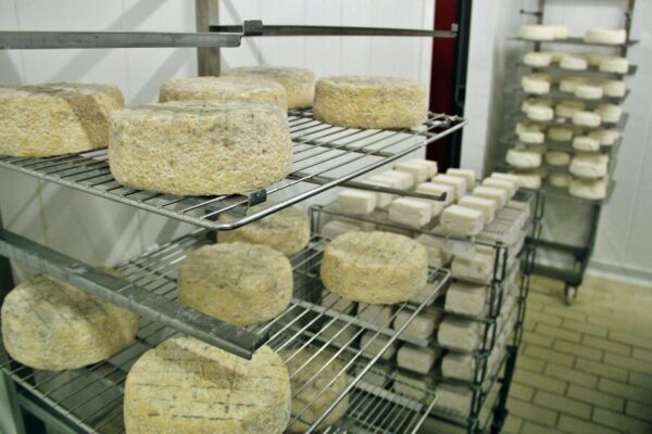 Especialidades de quesos artesanos de Cantagrullas en Valladolid