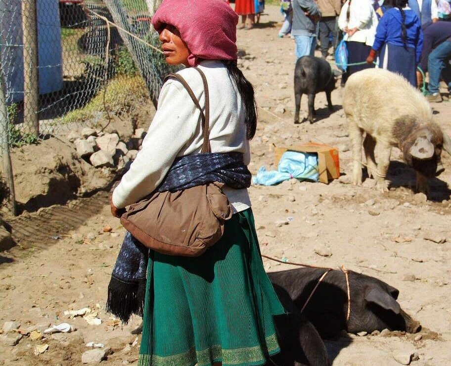 Indígenas otalaveños en el mercado de animales de Otavalo cerca de Quito
