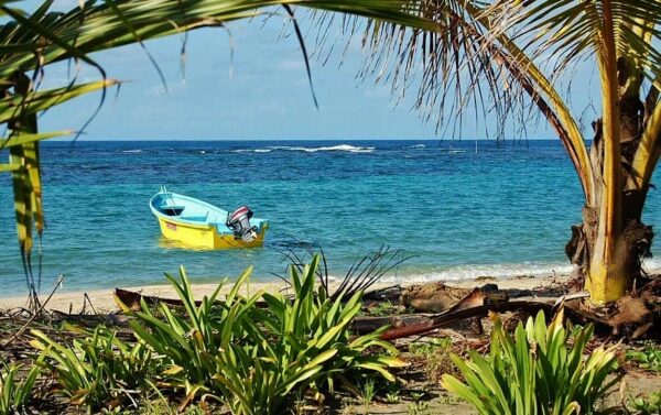 Playa con palmeras en Manzanillo en el Caribe Sur de Costa Rica