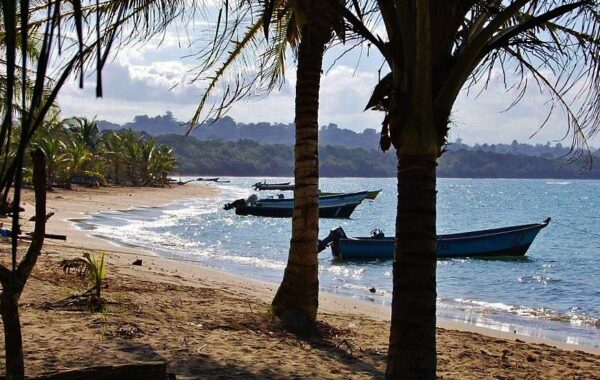 Playa con palmeras en Manzanillo en el Caribe Sur de Costa Rica