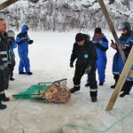 Safari del cangrejo real en invierno en Laponia Noruega