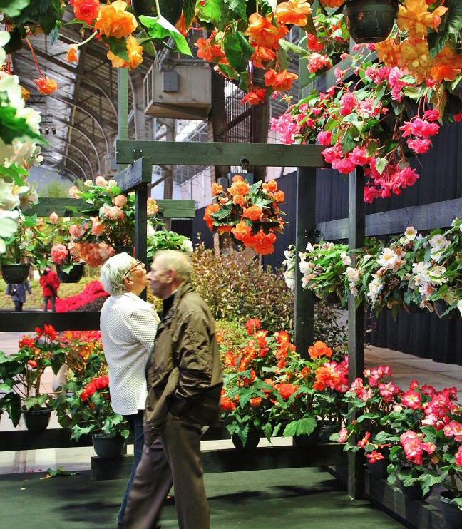 Exposición de arte floral Floralias de Gante en Citadelpark