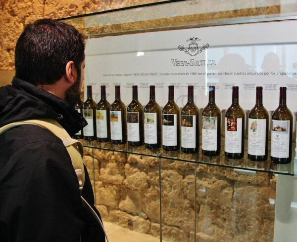 Vinmuseum i Peñafiel slott i Valladolid