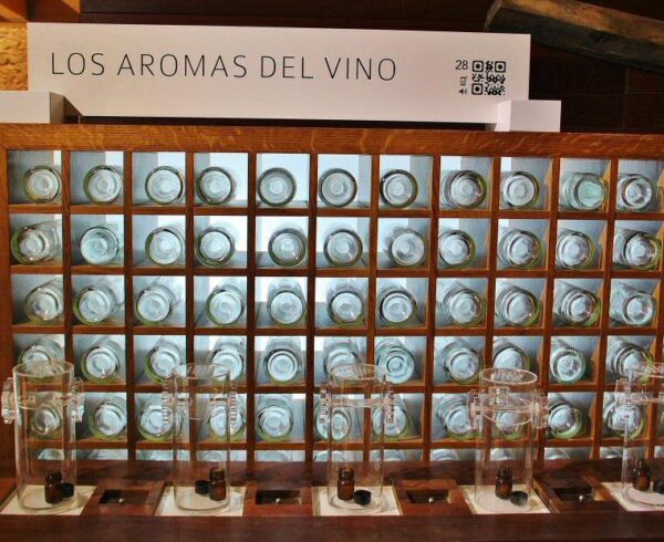 Vinmuseum i Peñafiel slott i Valladolid