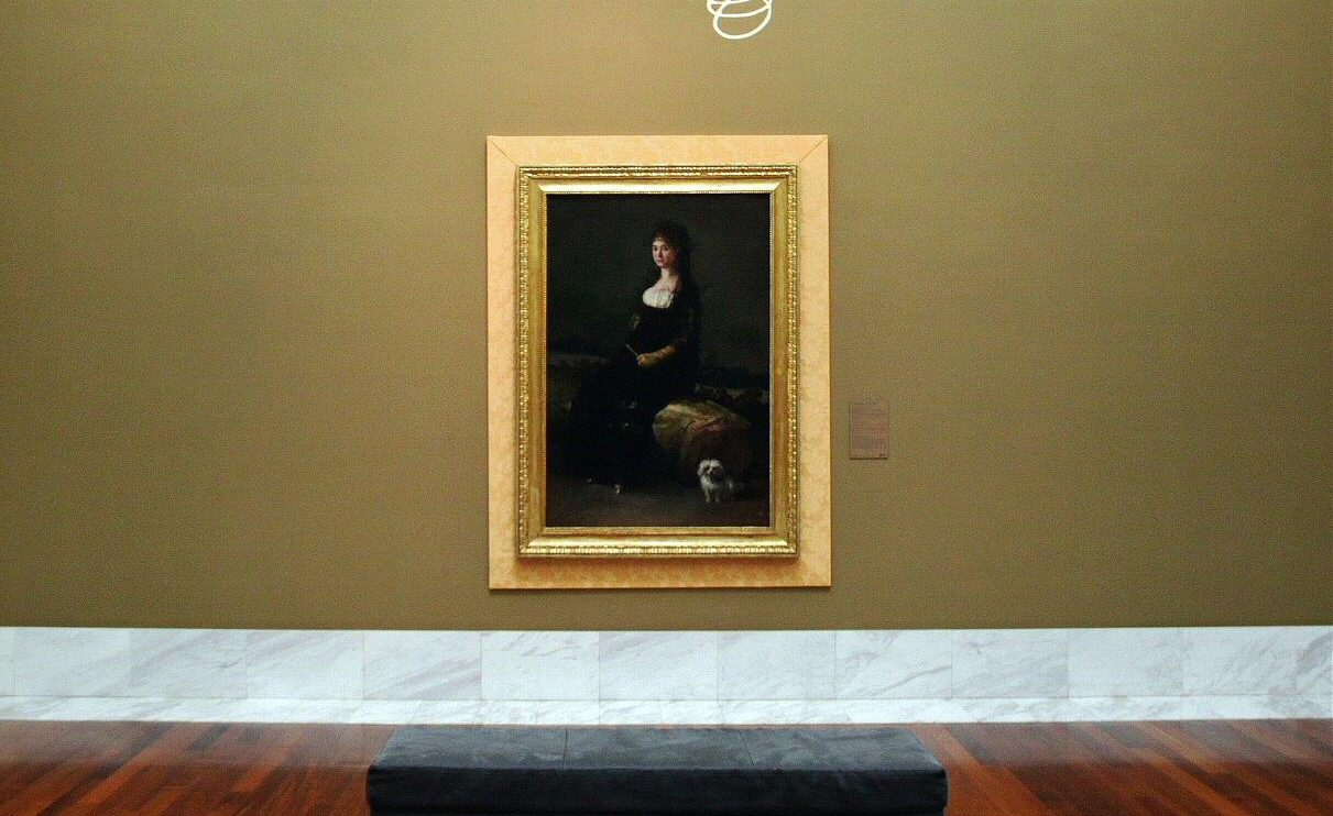Goya en el museo de Bellas Artes de Valencia