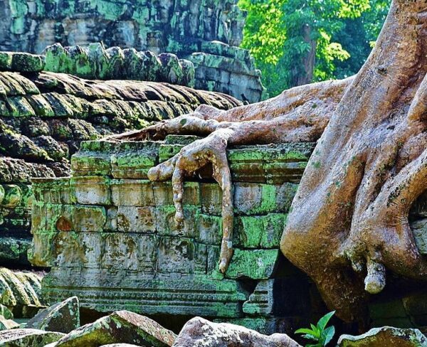 Templo de Ta Prohm en Angkor en Camboya