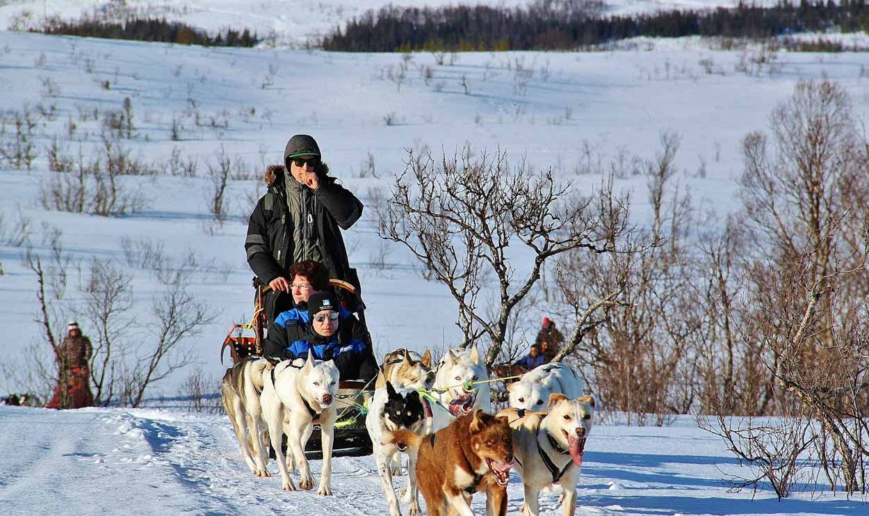 Tour en trineo de perros en Tromso al norte de Noruega