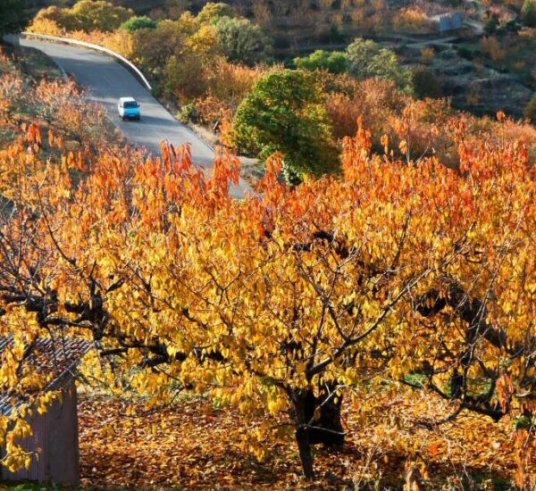 Paisajes del Valle del Jerte en otoño