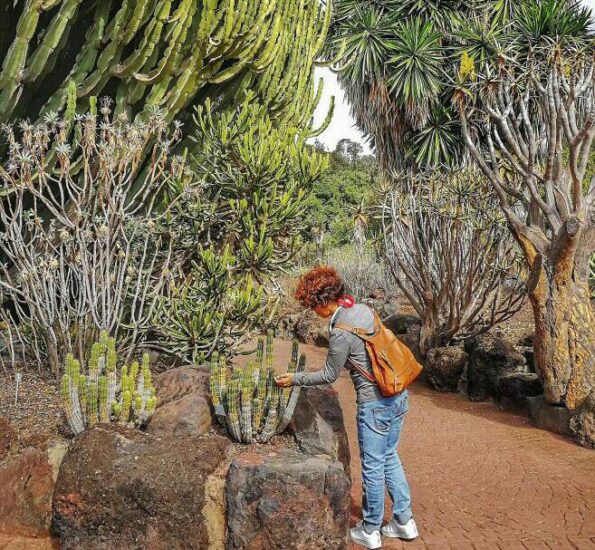 Jardín Canario en Las Palmas de Gran Canaria