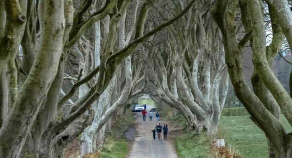Dark Hedges, escenario de Juego de Tronos en Irlanda del Norte