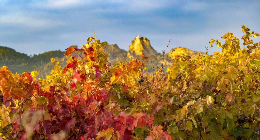 Viñedos en otoño cerca de Haro en La Rioja