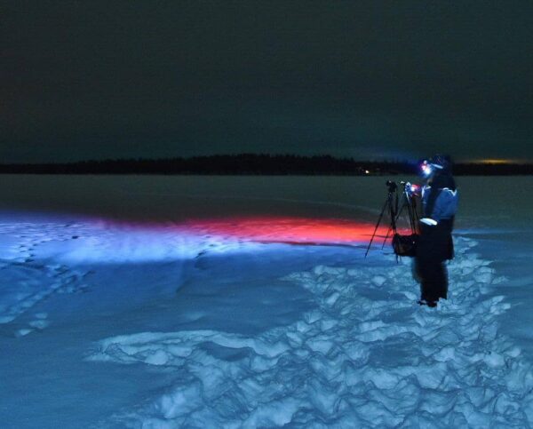 Tour fotográfico para cazar auroras boreales en Rovaniemi