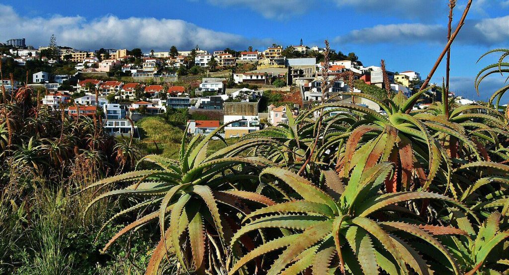 Rincón de la isla de Madeira en Portugal