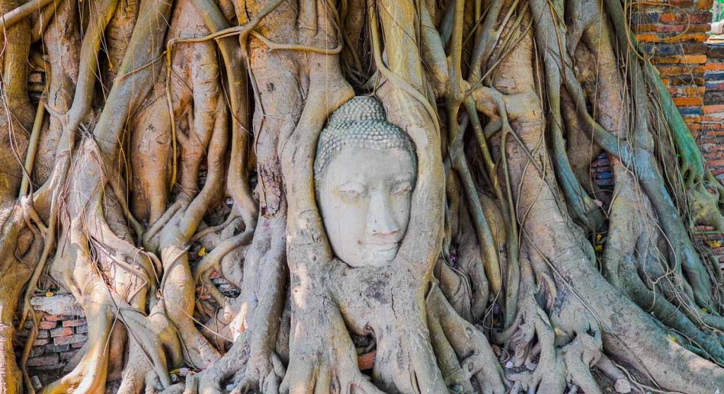 Buda en templo de Wat Mahathat en Ayutthaya en Tailandia