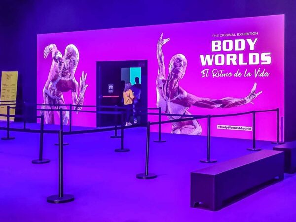 Exposición Body Worlds