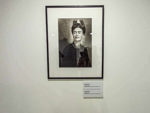 Exposición fotografías de Frida Kahlo 