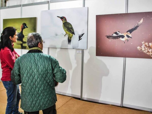 Feria FIO de turismo ornitológico en Monfragüe
