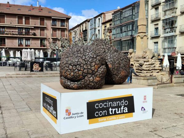 Concurso Internacional Cocinando con Trufa en Soria