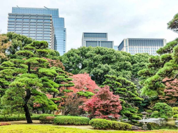 Jardines del Palacio Real de Tokio