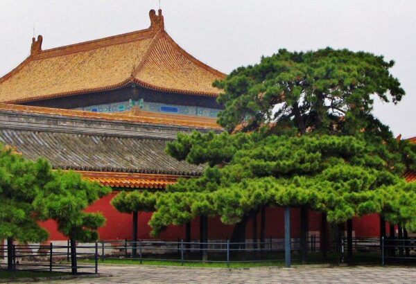 Jardín Imperial de la Ciudad Prohibida de Pekín