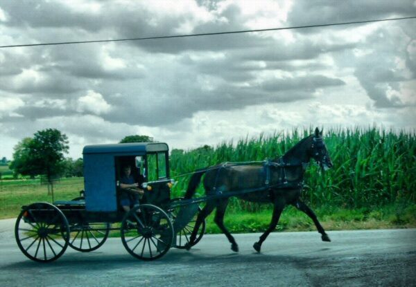 Amish en el Condado de Lancaster en Pennsylvania - Foto: Salvador Samaranch