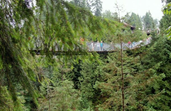 Puente colgante Capilano Suspension Bridge en Vancouver en Canadá