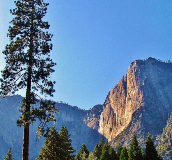 Parque nacional de Yosemite en California